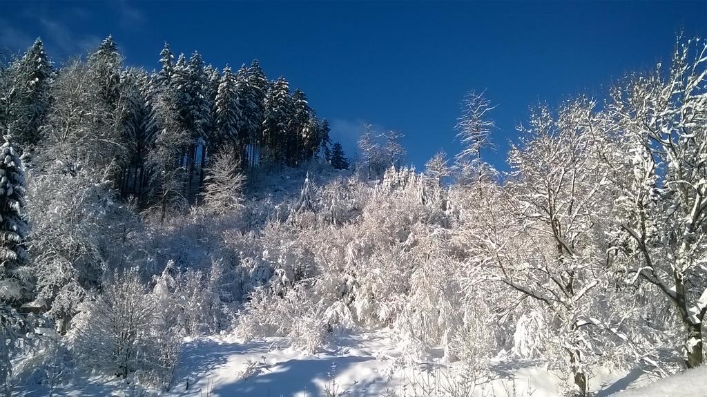 Gaestehaus Buendge Kamschlacken Esterno foto