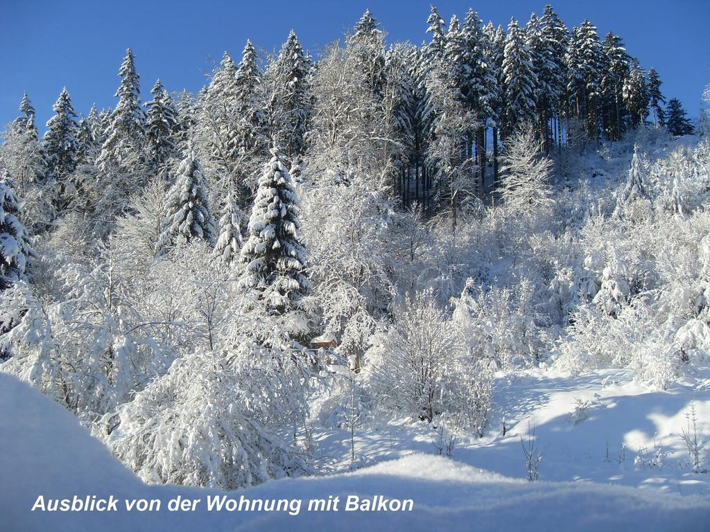 Gaestehaus Buendge Kamschlacken Esterno foto